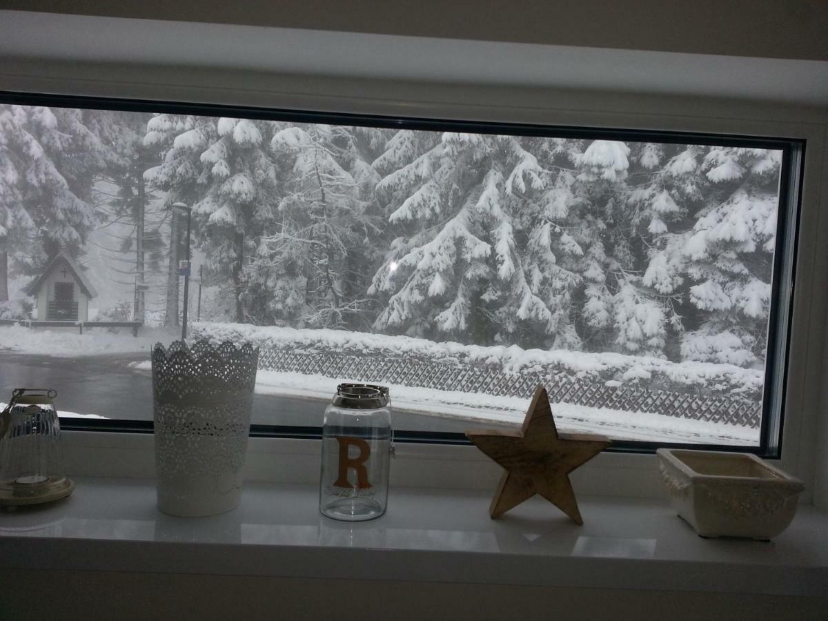Ferienhaus Bergidylle Winterberg Eksteriør bilde