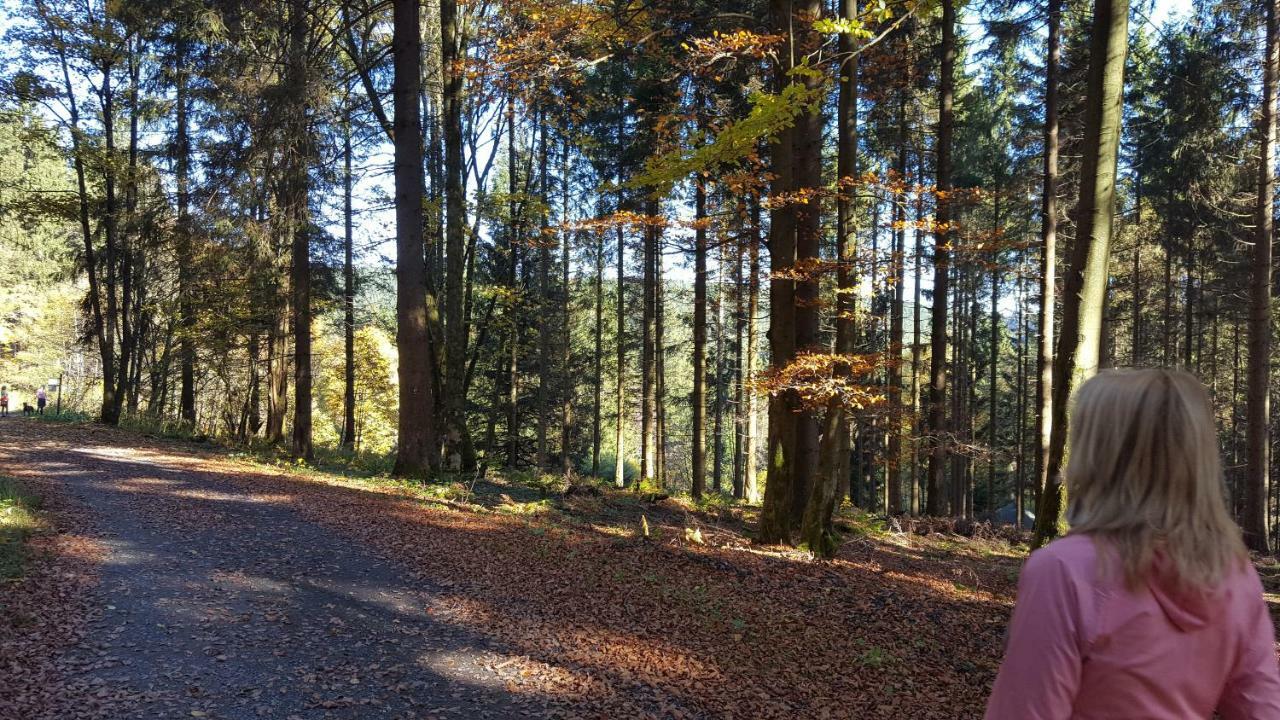Ferienhaus Bergidylle Winterberg Eksteriør bilde