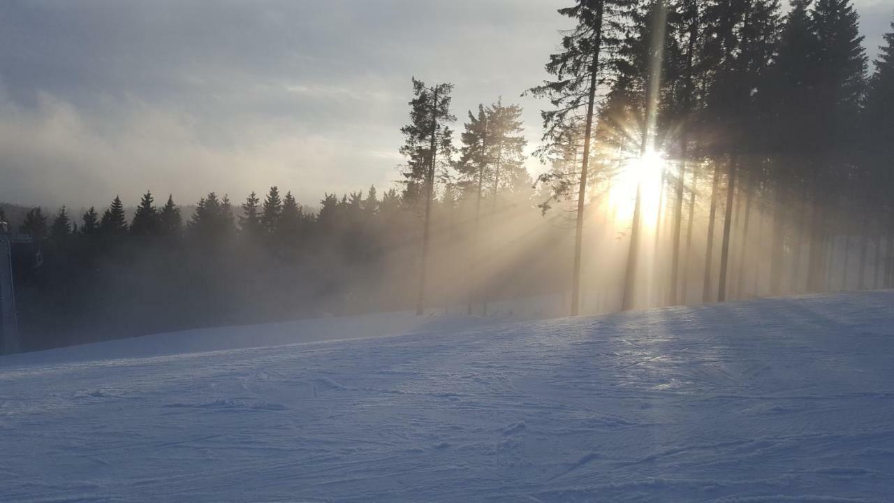 Ferienhaus Bergidylle Winterberg Eksteriør bilde