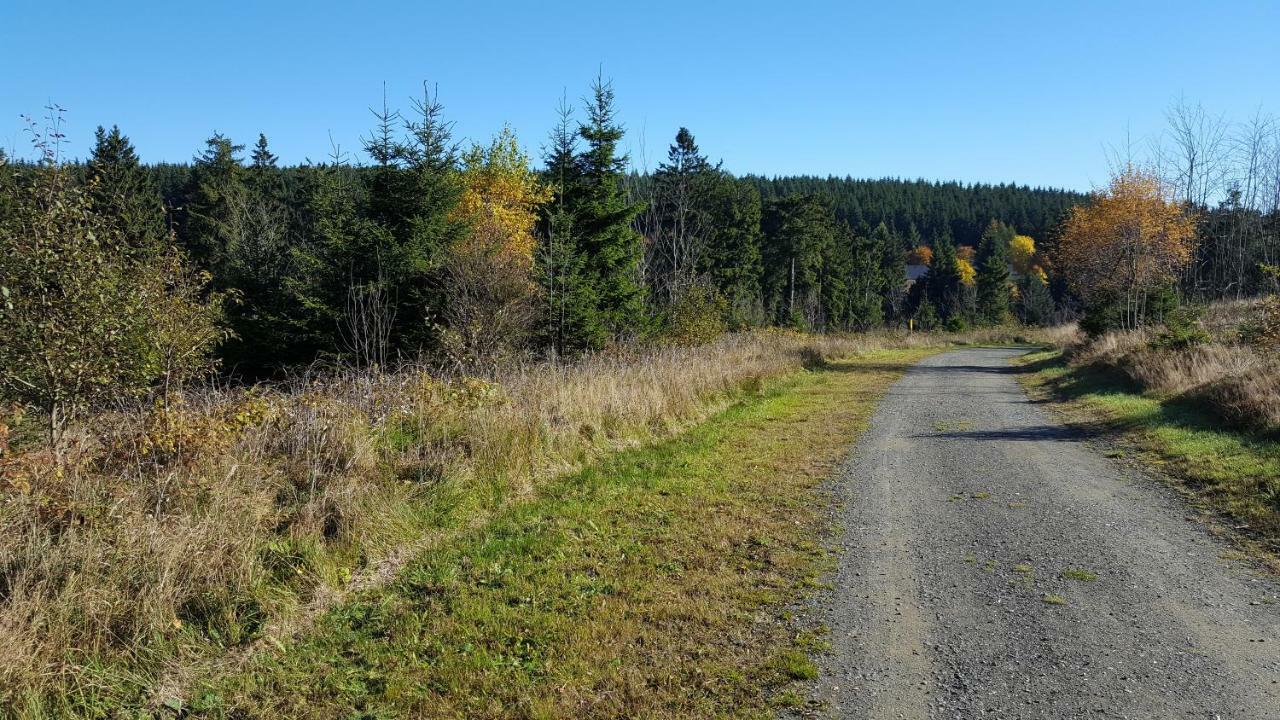 Ferienhaus Bergidylle Winterberg Eksteriør bilde