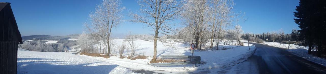 Ferienhaus Bergidylle Winterberg Eksteriør bilde