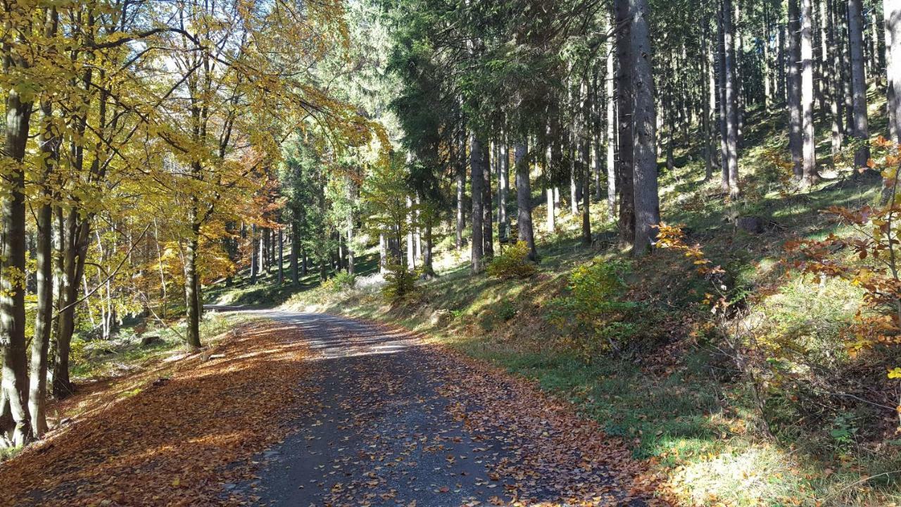 Ferienhaus Bergidylle Winterberg Eksteriør bilde