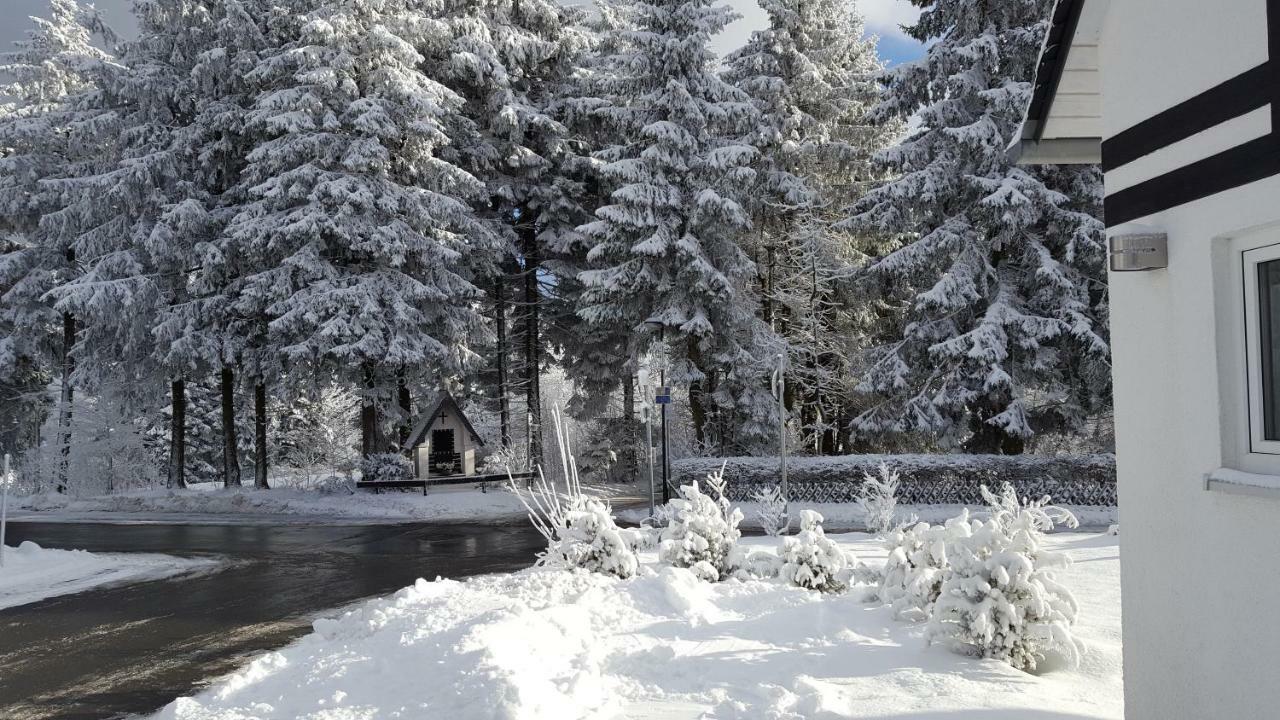 Ferienhaus Bergidylle Winterberg Eksteriør bilde