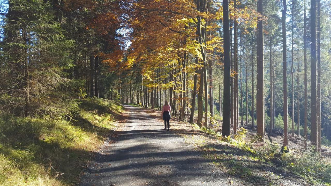 Ferienhaus Bergidylle Winterberg Eksteriør bilde