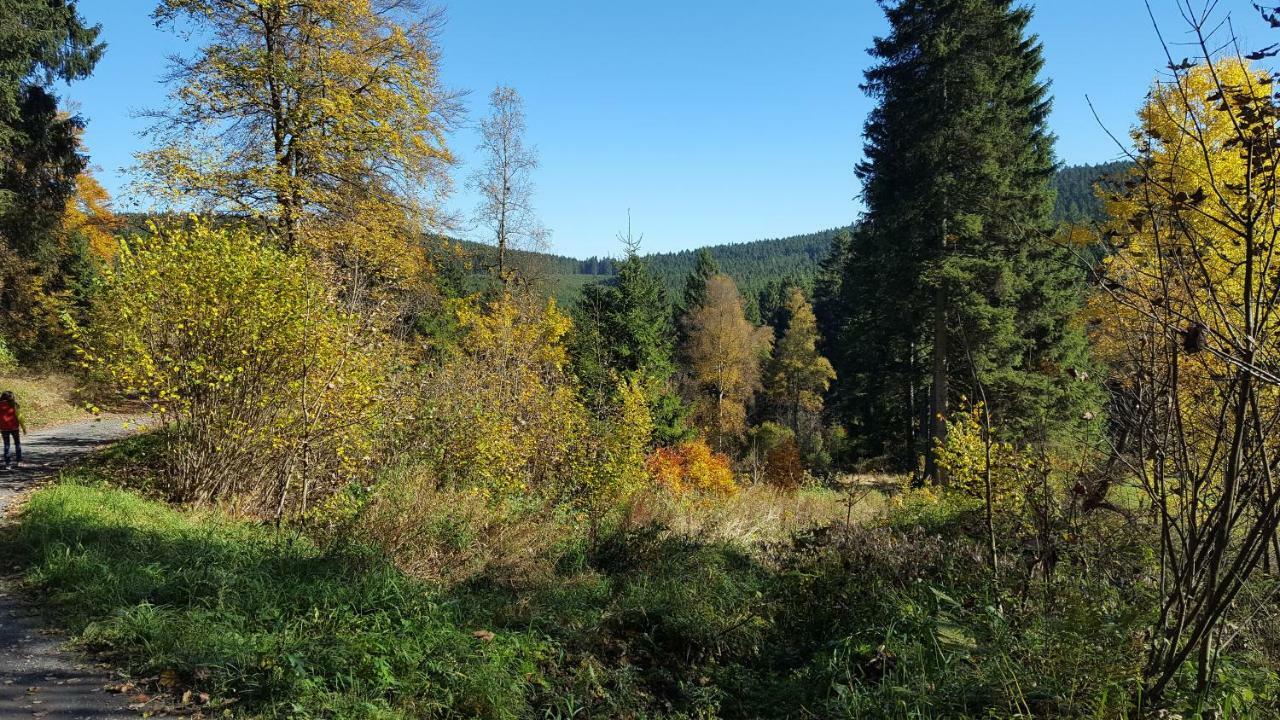 Ferienhaus Bergidylle Winterberg Eksteriør bilde